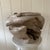 Wood Organic Modern Teak Root Sculptural Vessel For Sale - Image 7 of 10