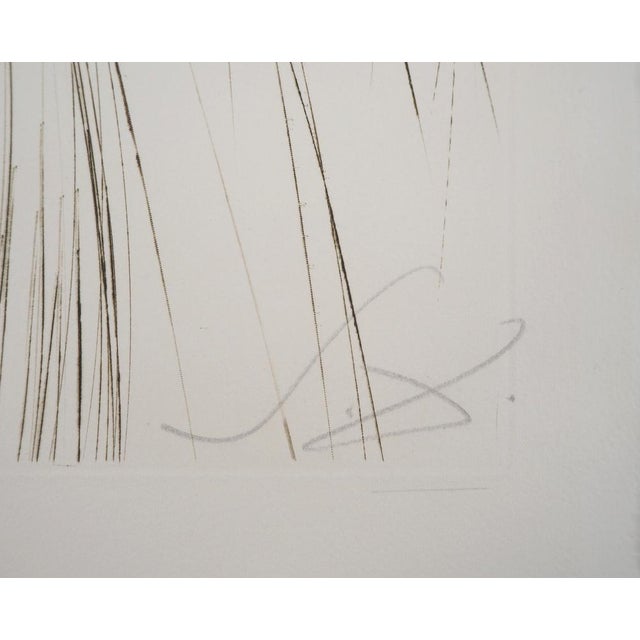 Modern Salvador Dali, La Reine Avait Bliaut de Soie, 1970, Original Etching For Sale - Image 3 of 8