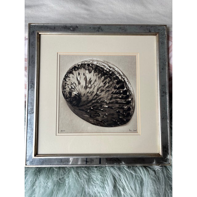 Authentic, highly collectible limited-edition fine art Giclée photograph titled "Shell II" (Abalone Shell) by celebrated...