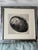 Authentic, highly collectible limited-edition fine art Giclée photograph titled "Shell II" (Abalone Shell) by celebrated...