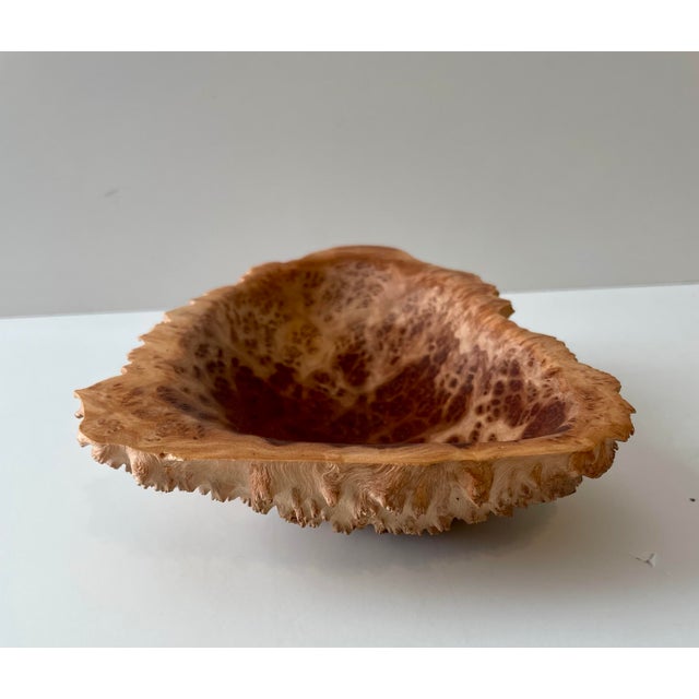 Australian Eucalyptus Burl Wood Bowls Brutalism Style, a Pair For Sale - Image 11 of 12