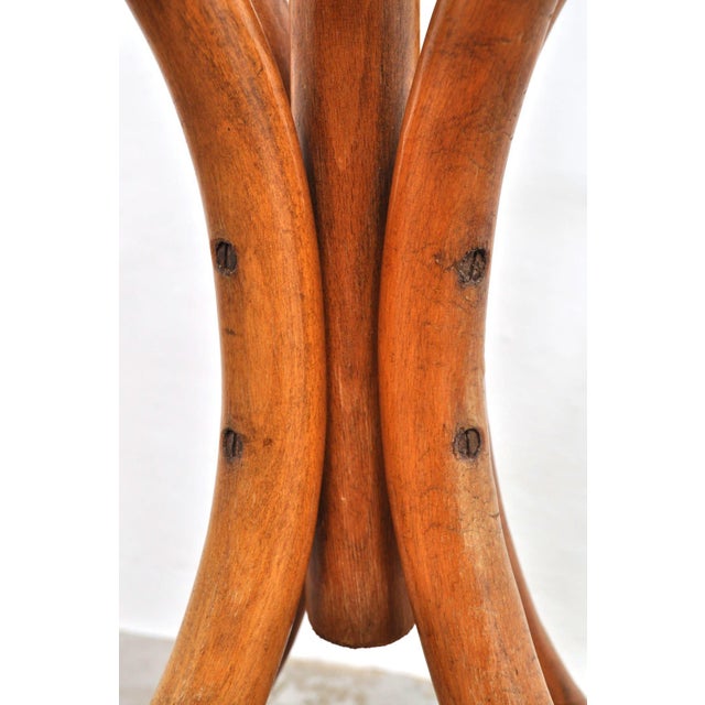 Thonet Vintage Beech Floor Coat Rack from Thonet, 1920s For Sale - Image 4 of 7
