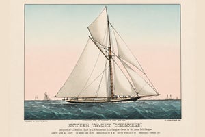 Cutter Yacht Thistle, Vintage Art Print Reproduction, 60" X 40"