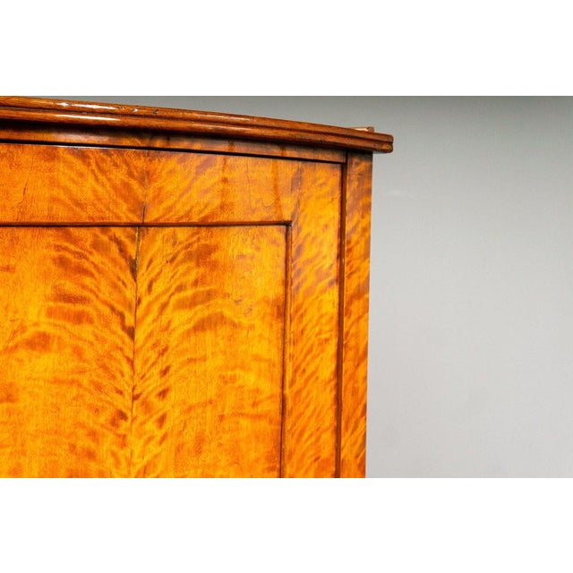19th Century Biedermeier Corner Cabinet in Birch For Sale - Image 16 of 18