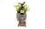 Silver Toothpick Holder with Bird For Sale - Image 4 of 7