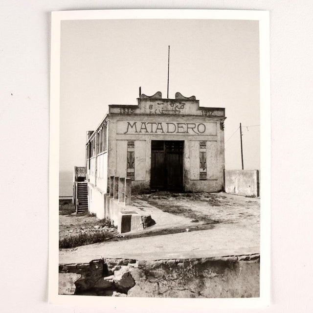Vittorio Pescatori, Group of Eight Photographs, Photograph For Sale - Image 3 of 11