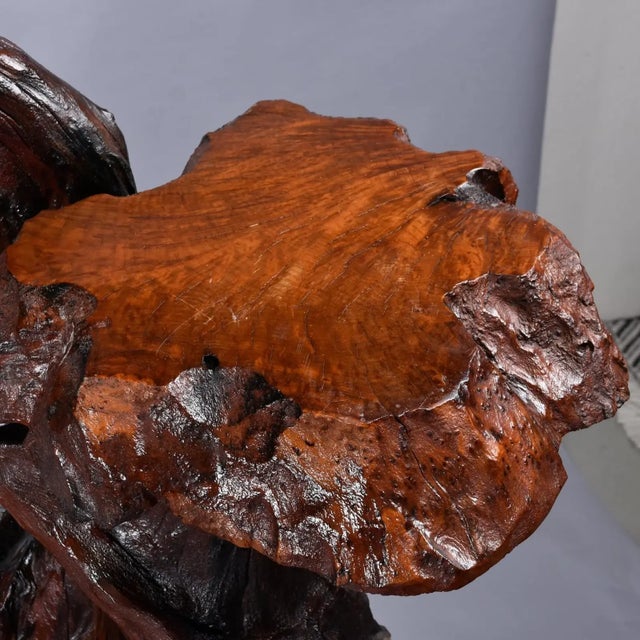 Large Rustic Live Edge Tree Trunk Plant Stand or Art Pedestal For Sale - Image 11 of 13