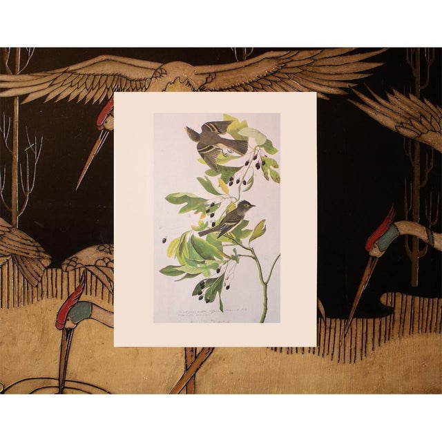 1966 Vintage Cottage Print "Green Crested Flycatcher" After John James Audubon For Sale In Dallas - Image 6 of 7