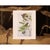 1966 Vintage Cottage Print "Green Crested Flycatcher" After John James Audubon For Sale In Dallas - Image 6 of 7