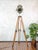 Vintage Theater Spotlight Floor Lamp on Wooden Tripod from ADB Belgium, 1960s For Sale - Image 15 of 18