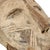 The Lega people, also known as the Warega, reside near the northern end of Lake Tanganyika on the banks of the Lualaba...