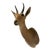 Late 20th Century Reedbuck Shoulder Mount Taxidermy Hunting Trophy For Sale