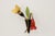 Mid-Century Modernist Wall Lamp, Germany, 1950s For Sale - Image 14 of 15