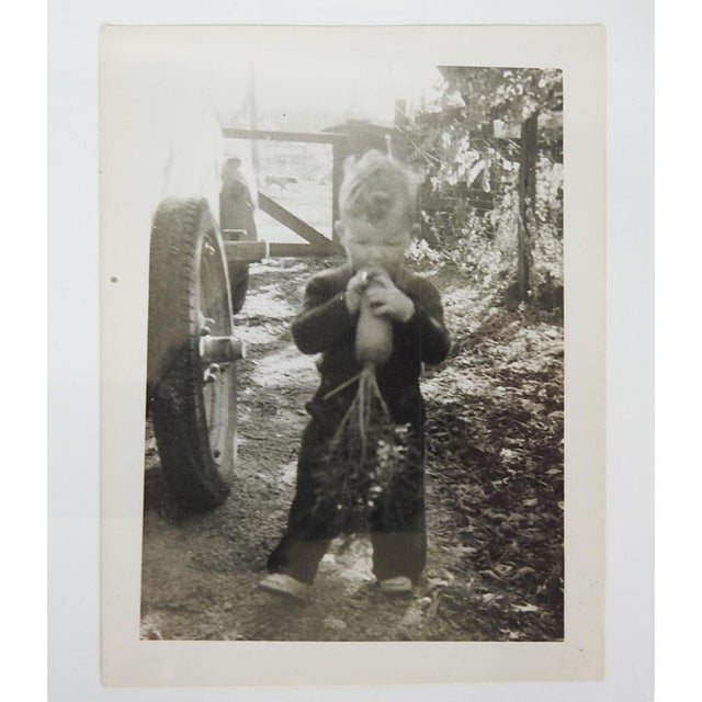 Mid-Century Modern 1950s Vernacular Snapshot Photograph Child and Huge Carrot For Sale - Image 3 of 3