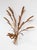 Italian Gilt Metal Wall Sconce with Leaves and Ears of Wheat, 1960s For Sale - Image 4 of 7