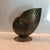 1970s Brass Conch Shell Footed Planter For Sale - Image 4 of 9