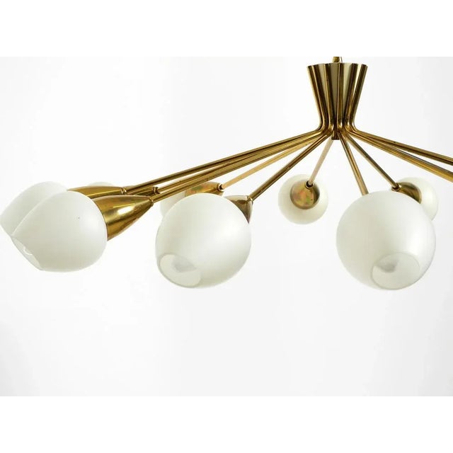 Metal Mid-Century Brass 12-Armed Chandelier with Opal Glass Shades, 1950s For Sale - Image 7 of 18