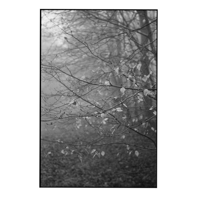Paul Cooklin, Scan 20211222 86, Edition of 50 For Sale