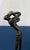 This striking cast bronze study captures a moment of intense kinetic energy and modern tension. Featuring the elongated,...