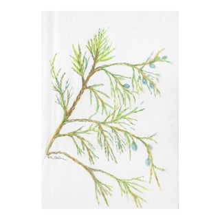 Myriam Cahn Juniper Botanical Painting For Sale