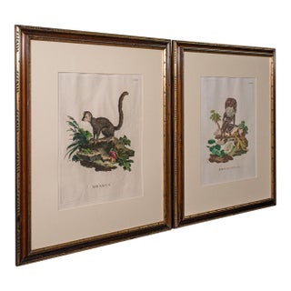 Pair of Antique Animal Portraits, French, Framed Pictures, Natural Art, Georgian For Sale