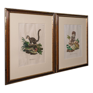 Pair of Antique Animal Portraits, French, Framed Pictures, Natural Art, Georgian