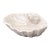 Vintage Italian Carved Wood Shell Bowl For Sale