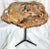 Contemporary Petrified Wood Side Table For Sale - Image 3 of 8