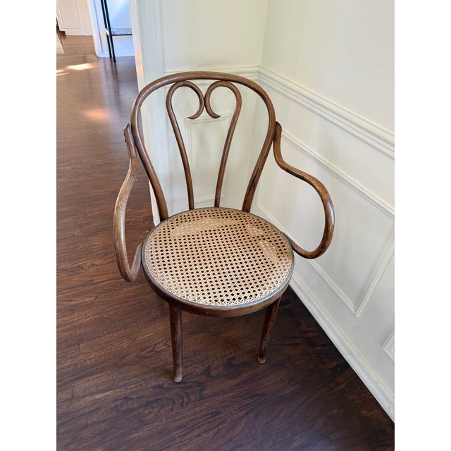 Traditional Antique Bentwood and Cane Armchairs For Sale - Image 3 of 3