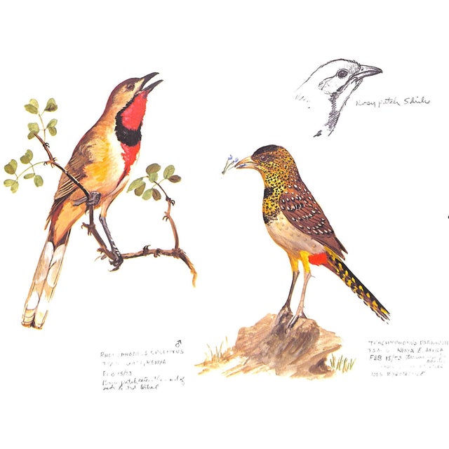 1970s "Ray Harm's African Sketchbook" 1973 Harm, Ray For Sale - Image 5 of 12