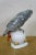 1920s Antique 1925 Hutschenreuther Fritz Klee African Gray Parrot Porcelain Figurine For Sale - Image 5 of 13