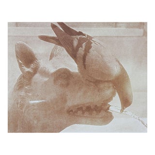 Vintage Cyanotype Window Gargoyle & Pigeon Photograph For Sale