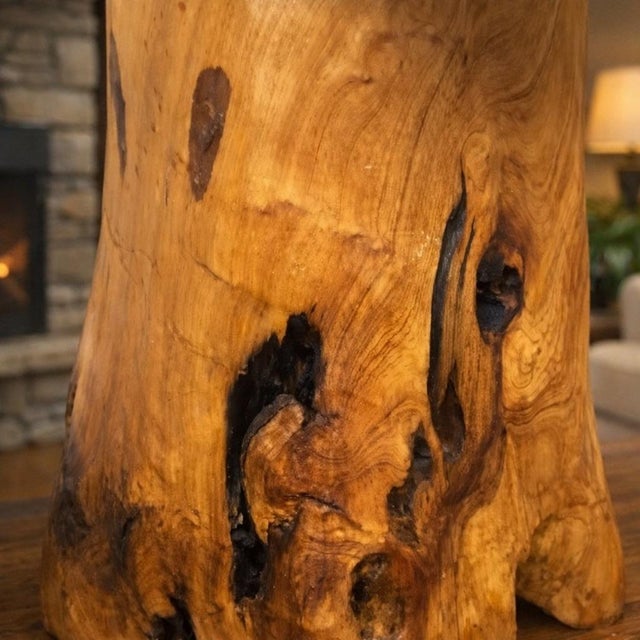This sculptural live edge side table is carved from a single solid block of hardwood, showcasing dramatic natural grain,...