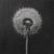 Dandelion No. 2 — Black and White Botanical Print After an Original 1950s Mezzotint, Unframed For Sale - Image 4 of 4