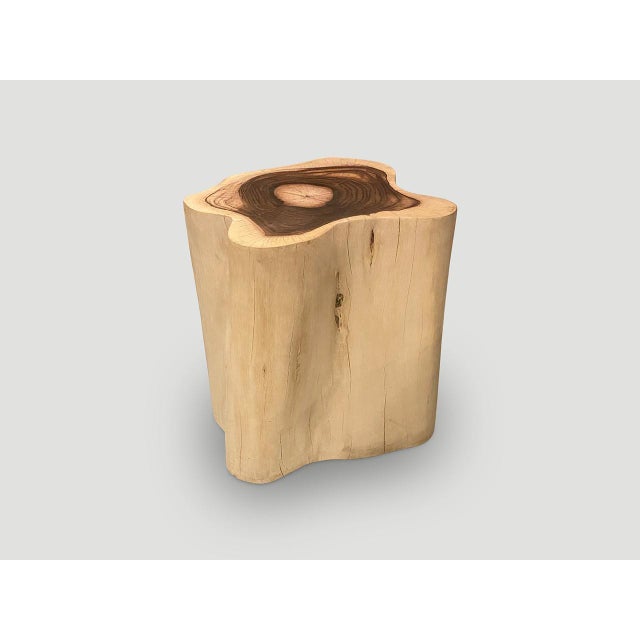 Andrianna Shamaris Rare Sono Wood Oversized Side Table or Pedestal For Sale - Image 13 of 18