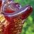 Ruby Red Barovier Toso Murano Vintage Deep Red Gold Flecks Spike Corners Italian Art Glass Mid Century Bowl For Sale - Image 8 of 8
