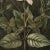 Grisaille Dark Green Flowers - Botanical Fine Art Print Dimensions: Print size (in): 18 x 18 (additional white borders for...