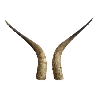 1960s Primitive Longhorn Bull Horns Southwest D√©cor - Set of 2 For Sale