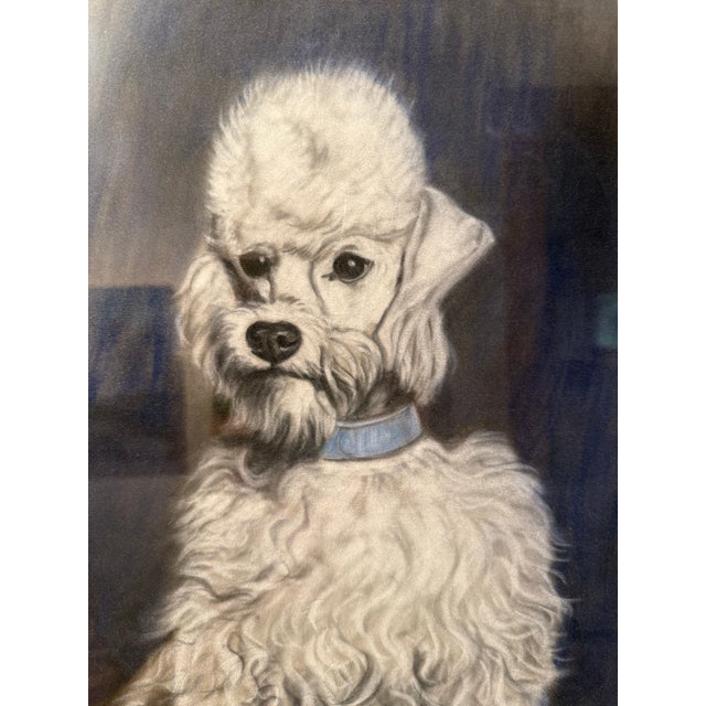An original pastel portrait of a white poodle by noted American animal artist Gladys Emerson Cook (1899-1976). This fine...