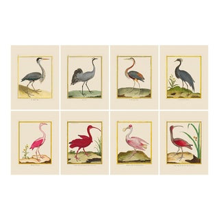 Shore Bird Grouping by Martinet Blue and Pink Giclee Reproductions For Sale