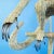 Mario Lopez Torres Monkey Floor Lamp For Sale - Image 10 of 12