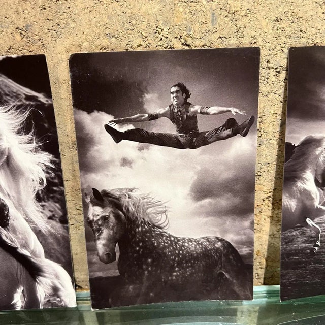 AMBIANIC presents Cavalia from Canada Vintage Set of 5 postcards beautiful black and white photos 4 x 6 Original vintage,...