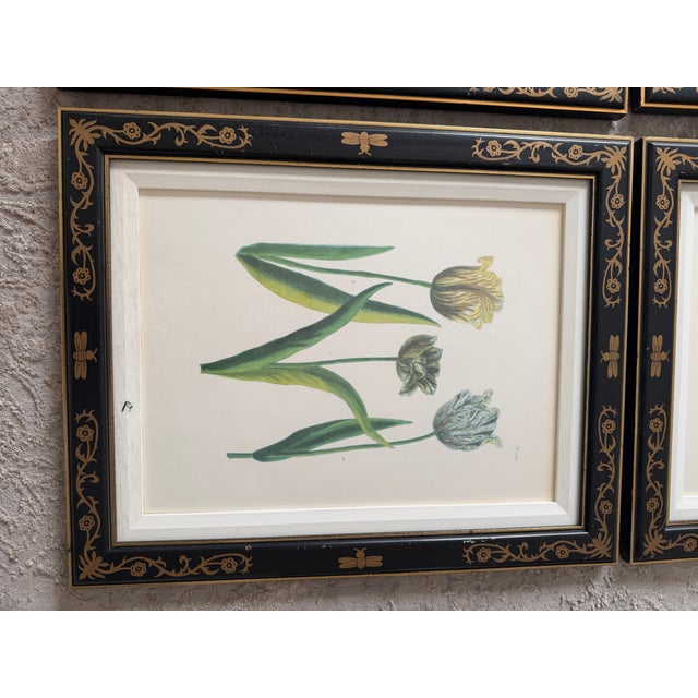 1990s Tulip Mania Set of Four Botanical Lithograph Prints From Scully & Scully in Black/Gold Scroll Frames - Set of 4 For Sale - Image 10 of 18