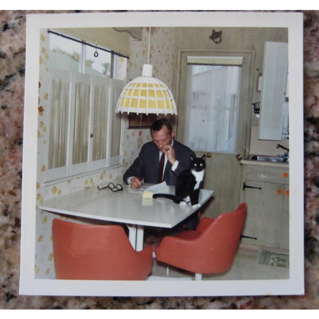 Mid-Century Modern White Wicker Chandelier For Sale - Image 11 of 13