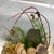 Vintage Lucite Seahorse Sea Life Bookends For Sale - Image 4 of 7