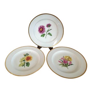 Early 19th Century German Meissen Porcelain Botanical Speciment Plates - Set of 3 For Sale