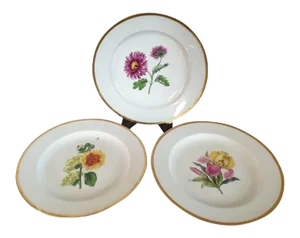 Early 19th Century German Meissen Porcelain Botanical Speciment Plates - Set of 3