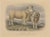 Fairland after W. Nicholson, Ram and Ewe of the Dorset Breed, 1841, Lithograph For Sale