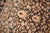 Persian Early 20th Century Persian Bakhtiari Oversize Snake Rug - 13'7" x 22' For Sale - Image 3 of 18