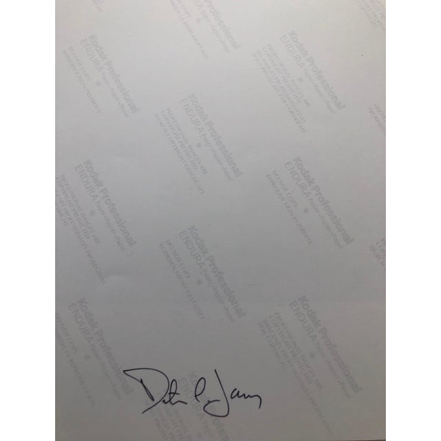 Peter C. Jones 1, Pound of Putty, Large Format Photo 24X20 Color Photograph Beach House, 2005 For Sale - Image 4 of 5